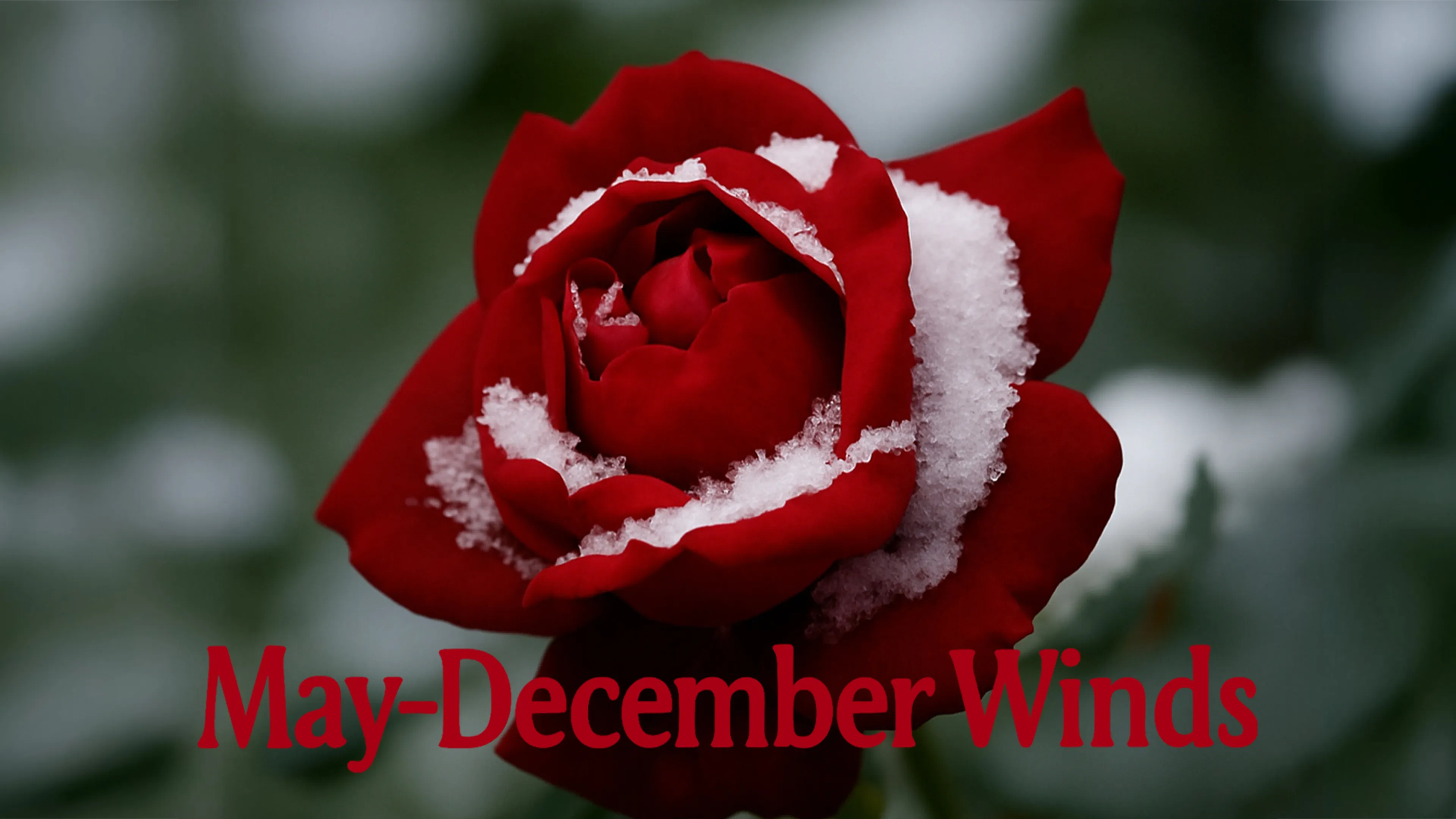 May-December Winds poster